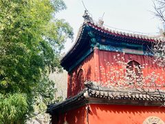 -大觉寺-停车场