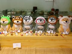 大堂-柴务处·柴犬主题狗咖