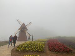 -广州市石门国家森林公园