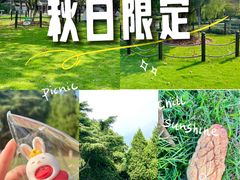 -瀛洲公园