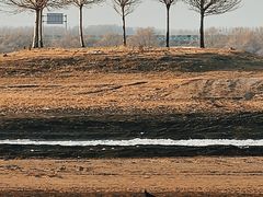 -黑龙江扎龙生态旅游区