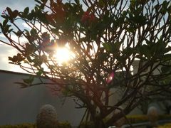 -西双版纳融创皇冠假日度假酒店