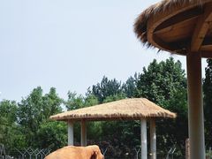 -石家庄市动物园