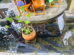 -源泉冷水鱼庄(小鱼洞店)