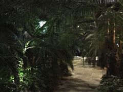 -龙达温泉生态城