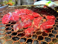-农乐园炭火烤肉(世茂店)