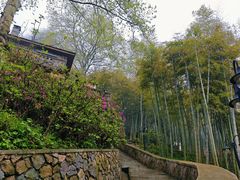 -莫干山风景区