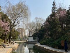 -团结湖公园