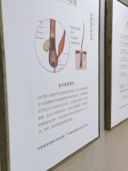 -熙朵美学植发连锁