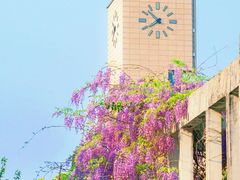 -福州大学(旗山校区)