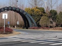 -黄海国家森林公园