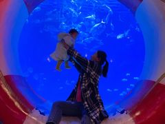 -烟台海昌鲸鲨海洋公园