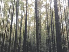 -山王坪喀斯特国家生态公园
