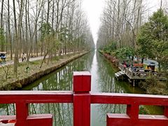 -合肥滨湖国家森林公园