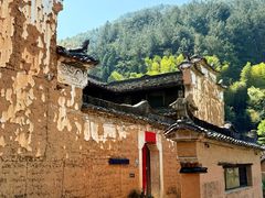 -杨家堂村
