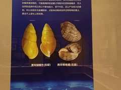 -桂林博物馆