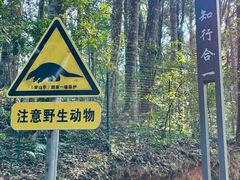 -江西阳明山国家森林公园