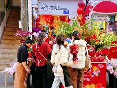 -溪岸路花鸟市场