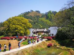 -新安江山水画廊风景区