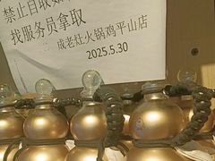 -成老灶火锅鸡(平山店)