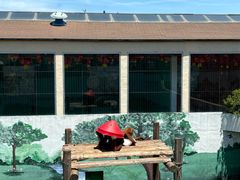 -西霞口神雕山野生动物世界