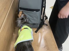 -艾贝尔宠物医院·24H转诊中心·肿瘤猫专科(江宁双龙店)