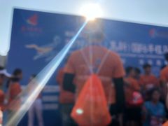 -艾溪湖湿地公园