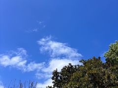 -观潮胜地公园