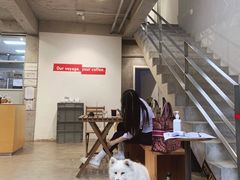 -VOYAGE COFFEE 咖啡烘焙工坊店(798艺术区店)
