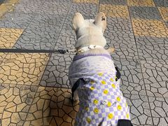 -火炉情韩国料理店(古田路店)