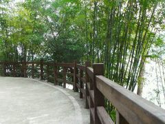 -广州市流溪河国家森林公园