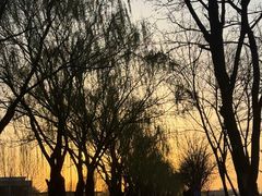 -中家鑫园温泉酒店鑫悦汤泉