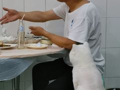-洪霞餐馆