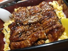 -晶吉·居酒屋·烧鸟·生鱼饭(中山区民主广场店)