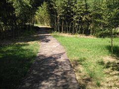 -福建鲤鱼洲酒店