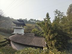 -重庆园博园