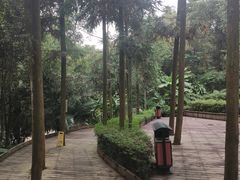 -福清灵石山国家森林公园