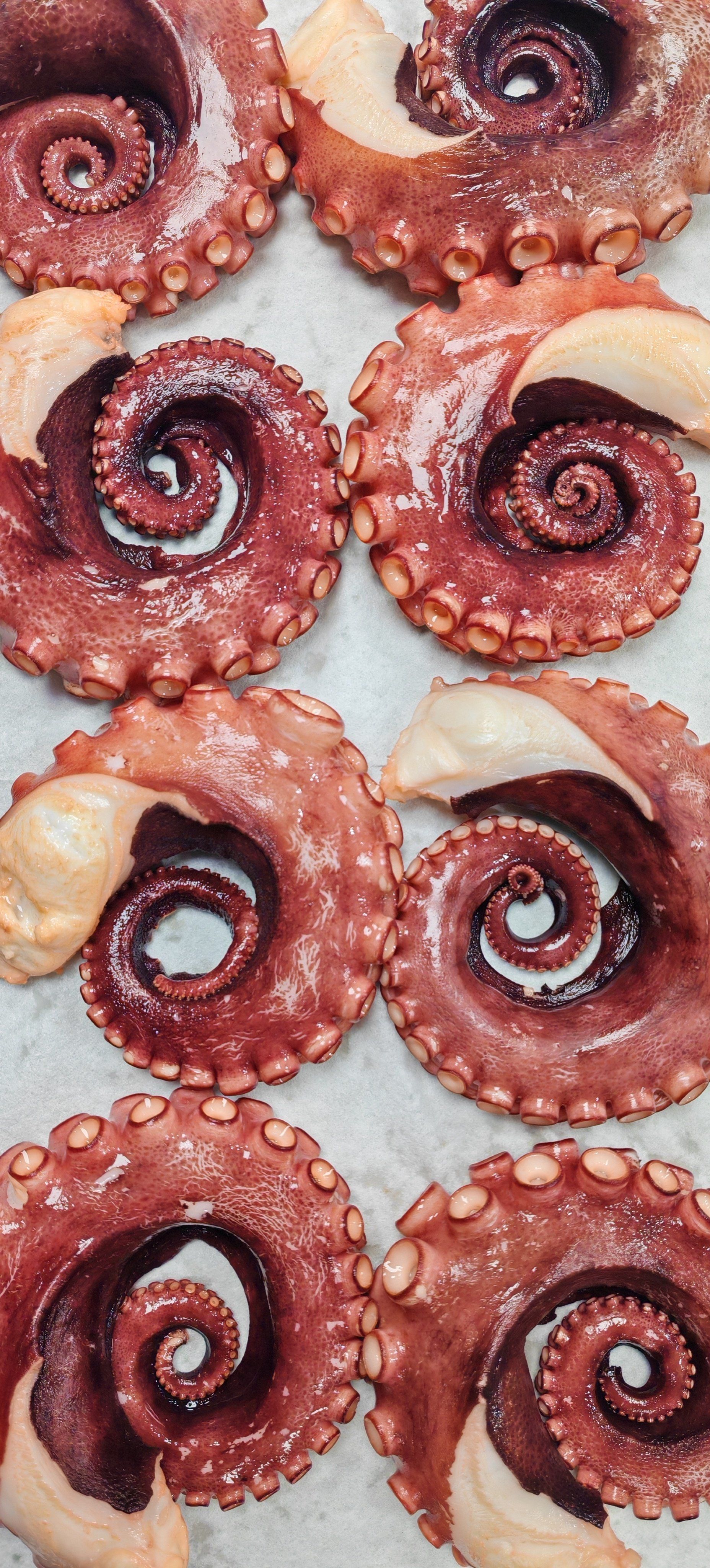 章鱼的制作流程