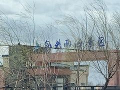 -包头南海湿地景区