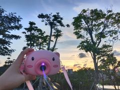 -白石龙音乐公园