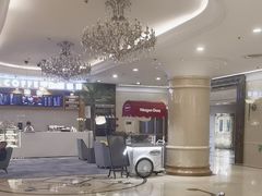 -北京广安门维景国际大酒店