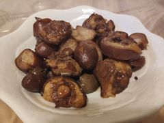 -龙小海荆沙鸽子店(瑞安街店)