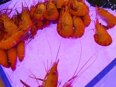 -星璞餐厅(深铁塘朗城君璞酒店)