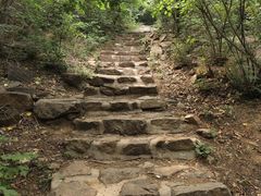 -北京西山国家森林公园