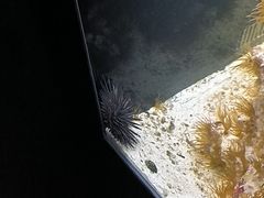 -沈阳海洋探索中心