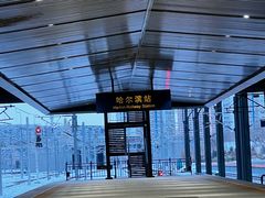 -亚布力新体委滑雪场