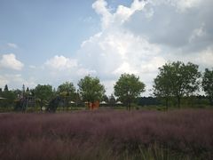 -嘉北郊野公园