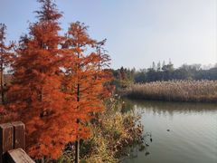 -同里国家湿地公园