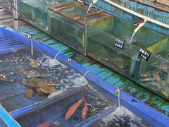-蓝湾碧波·老字号·疍家非遗海上餐厅