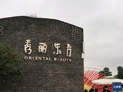 -秀丽东方